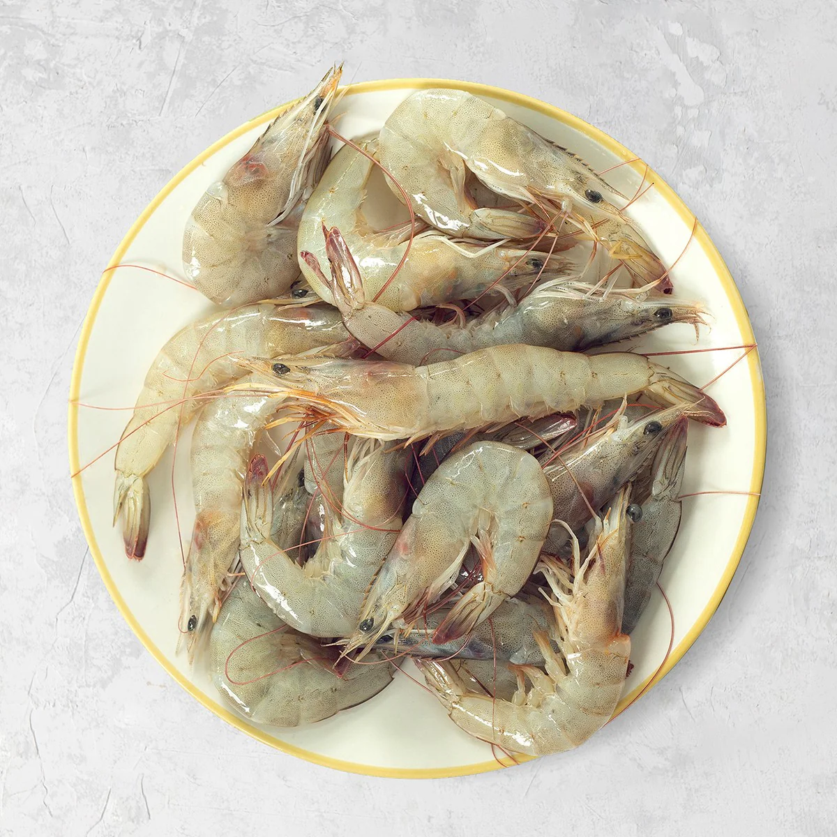 Shrimp (Medium)