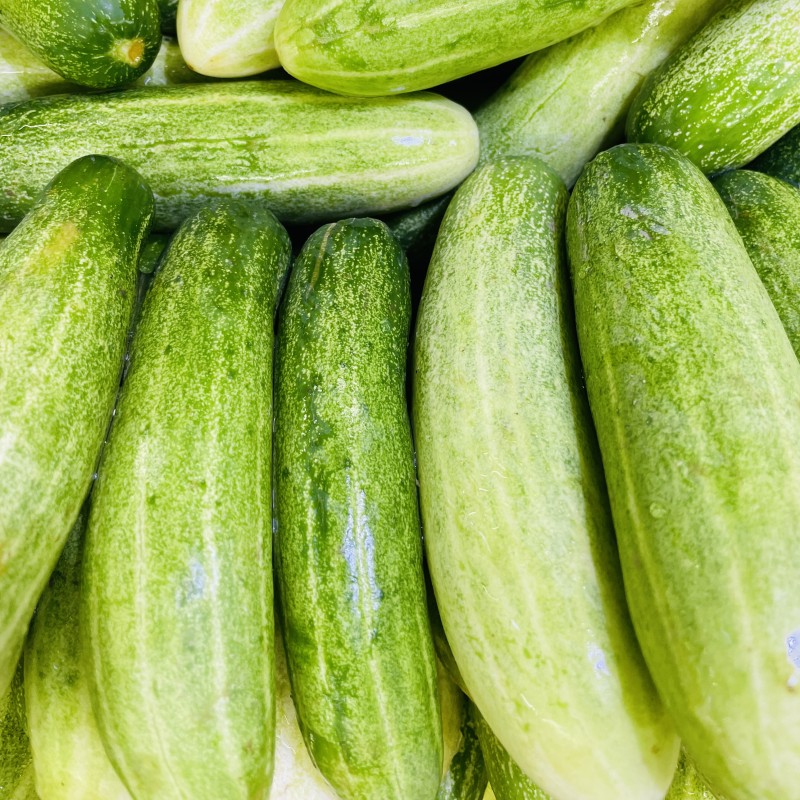 Cucumber (Fresh)