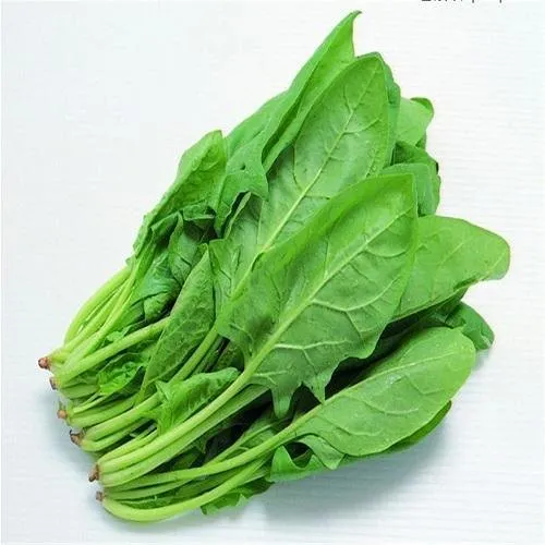 Spinach (Leafy Green)
