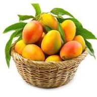 Mango (Seasonal)